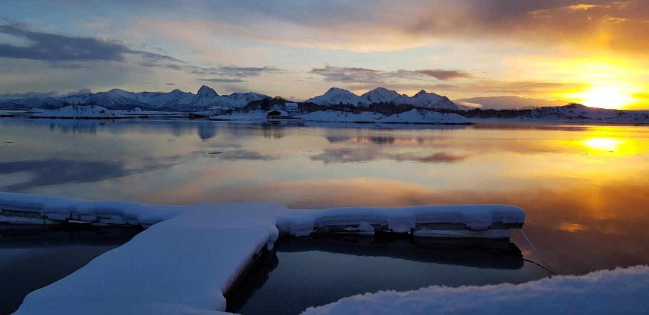 Ringstad Resort Bo (Nordland) Buitenkant foto